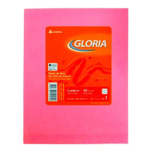 CUADERNO 16X21 ARANIA ROSA 42H RAY GLORIA
